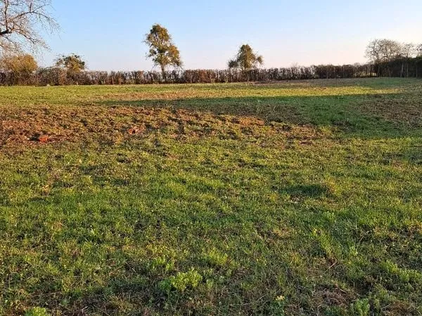 Terrain à bâtir