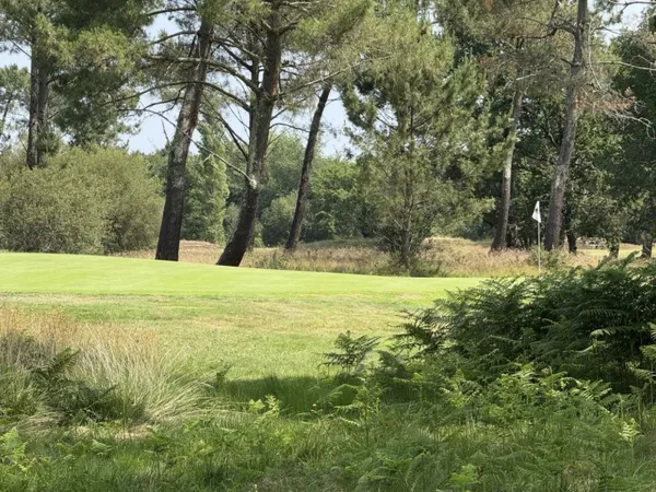 GUJAN-MESTRAS - MAISON D'EXCEPTION - VUE GOLF - PLAIN-PIED - 4