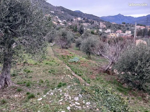 Terrain 1700 m² Châteauneuf-Villevieille