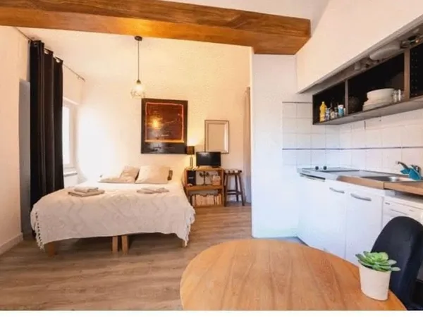 Studio 1 pièce 20 m²