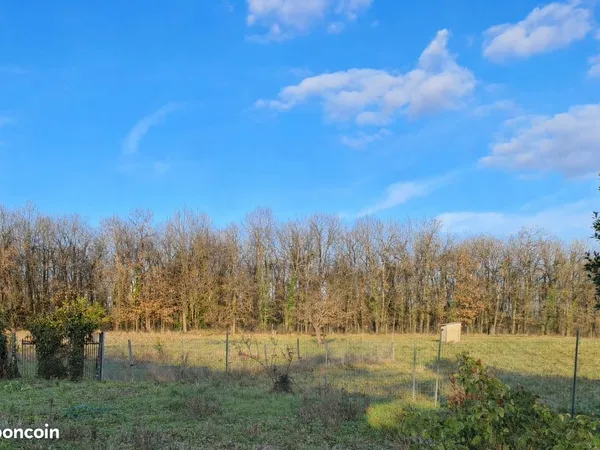 Grand terrain constructible de 4500 m² à l'orée d'un bois