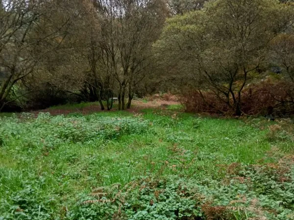 Vends terrain