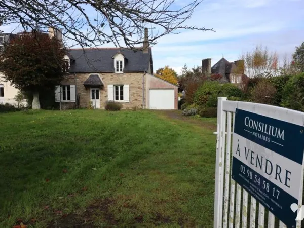 Local d'activités