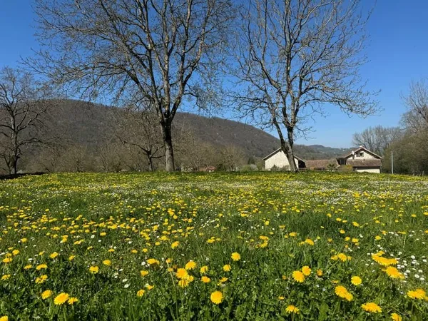 Terrain 800 m²