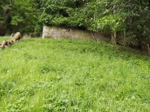 Grange à reconstruire