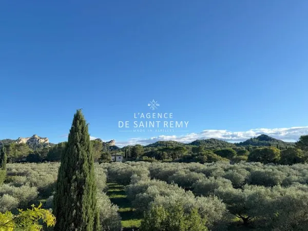 Face aux Alpilles et aux champs d'olivier à 10 minutes à pied