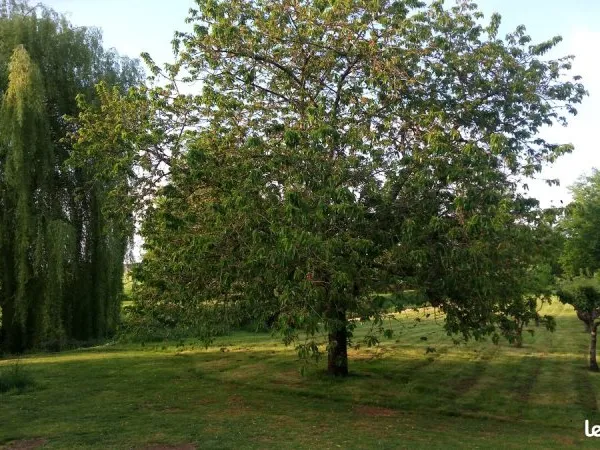Terrain de charme HOUDAN 78550