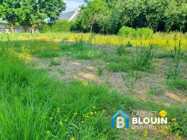 Terrain viabilisé Heric 390 m2