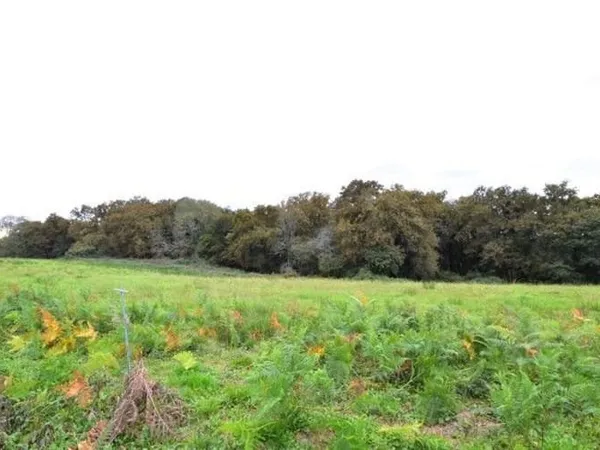 Terrain 4440 m²