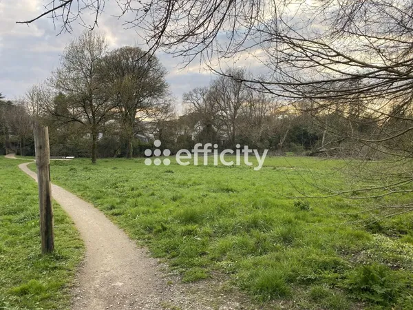 Terrain 447 m²