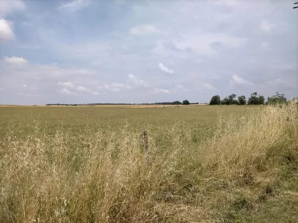 Belle parcelle à bâtir