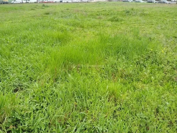 Terrain à Bâtir à Laboutarié : 779 m²