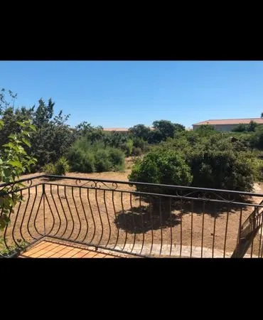 Maison avec grand terrain
