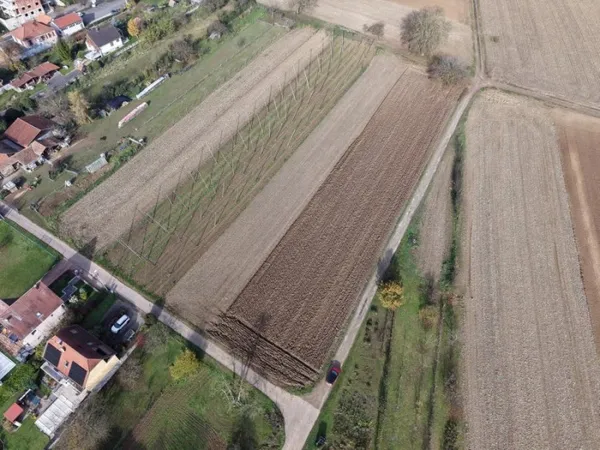 Terrain 1667 m²