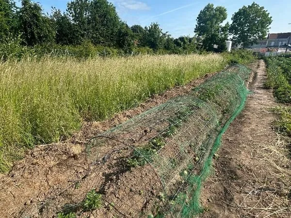 Terrain 671 m² BAPAUME