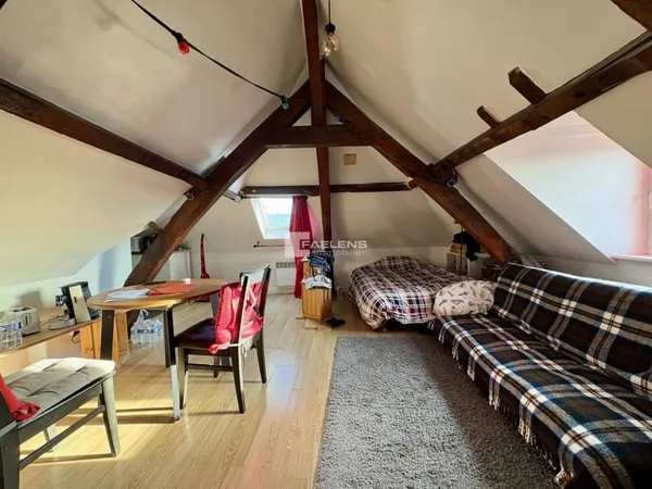 Duplex 1 pièce 32 m²