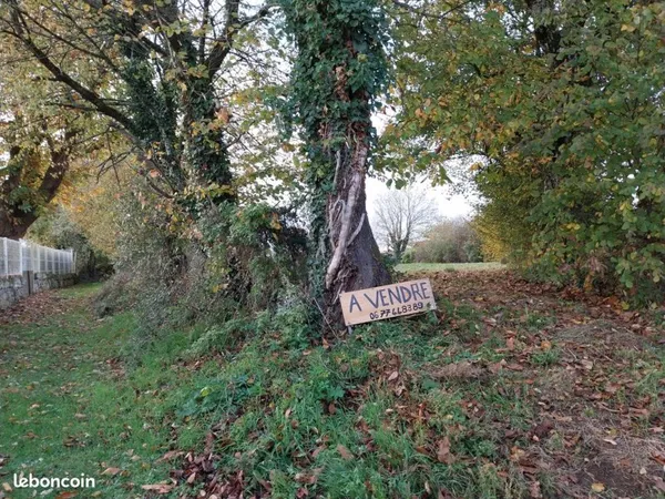 A vendre terrain constructible non viabilisé