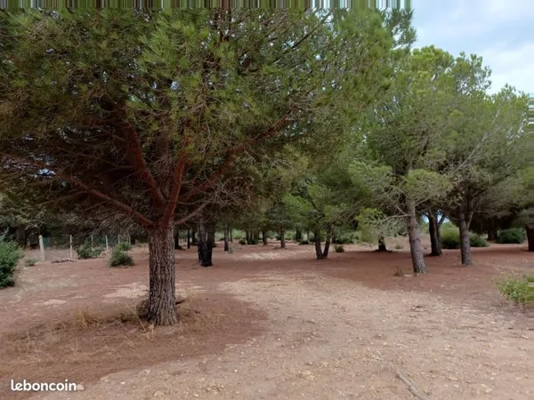 Terrain agricole