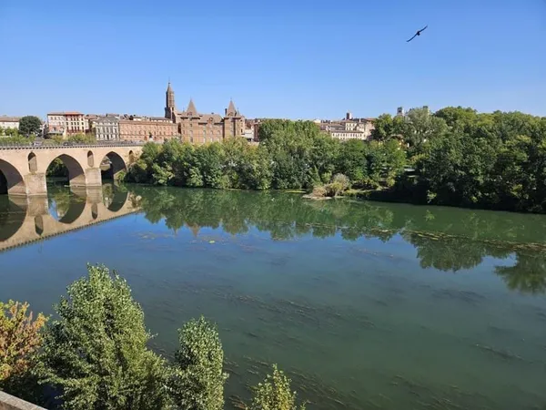 Magnifique appartement T3 avec très belle vue Montauban centre