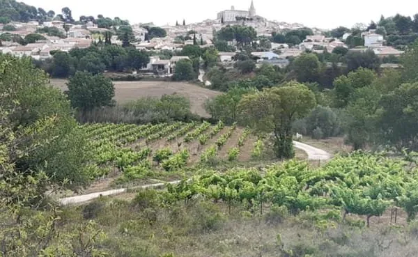 Parcelles agricoles Murviel Les Béziers