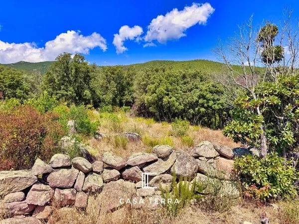 Terrain constructible 3877 m²