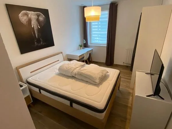Chambre meublée avec sdb privative all inclusive hyper centre
