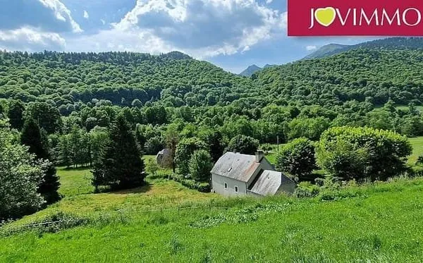 Terrain 2181 m²