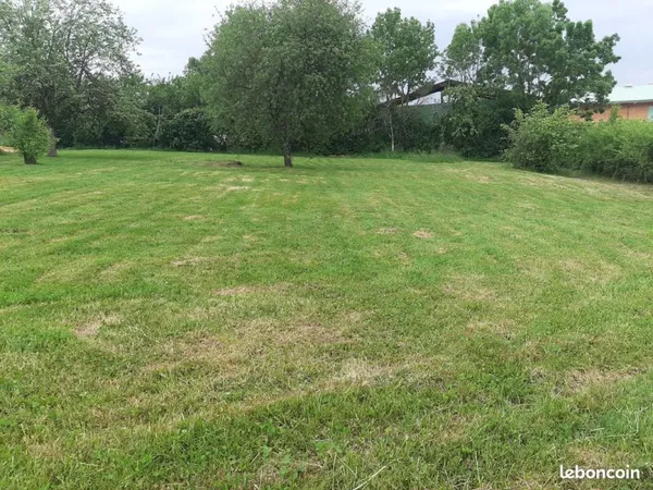Terrain constructible