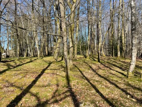 Terrain 2300 m²