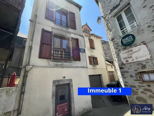 Investissez dans un duo prometteur au coeur de Riom-es-Montagnes