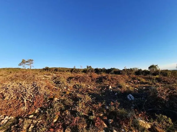 Terrain 10980 m²
