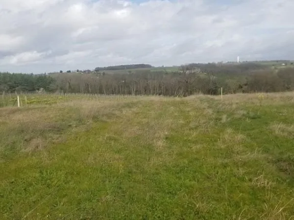 Terrain 590 m²