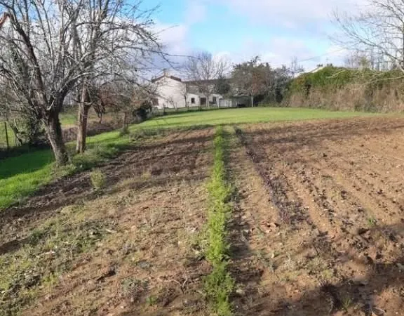 Terrain 1246 m² MOUCHAMPS