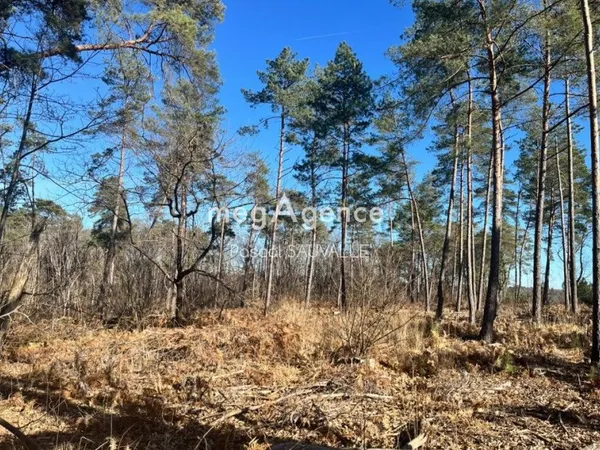 Terrain à bâtir de 17000m2