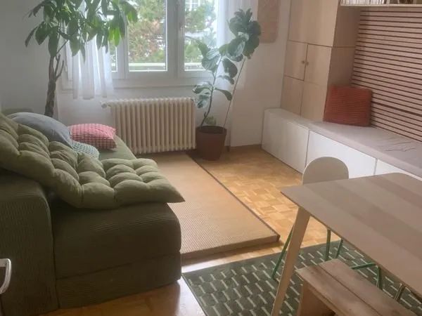 🏡 Joli appartement 3 pièces - 83 m² - Gaillard (proche frontière)