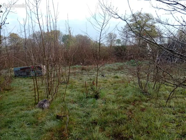 Terrain un hectare avec source