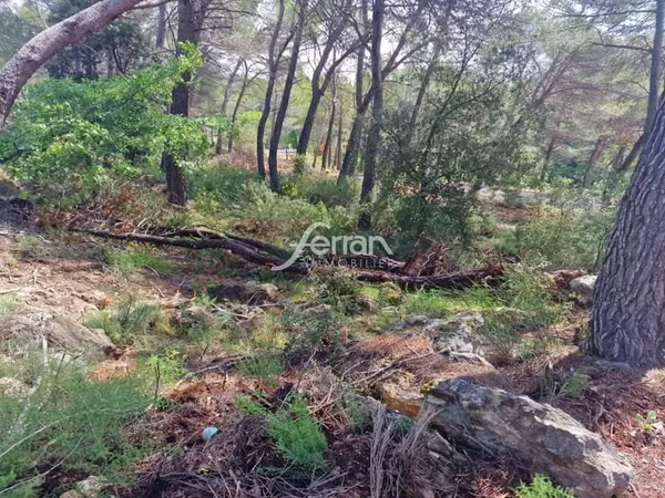 A vendre à Salernes terrain constructible