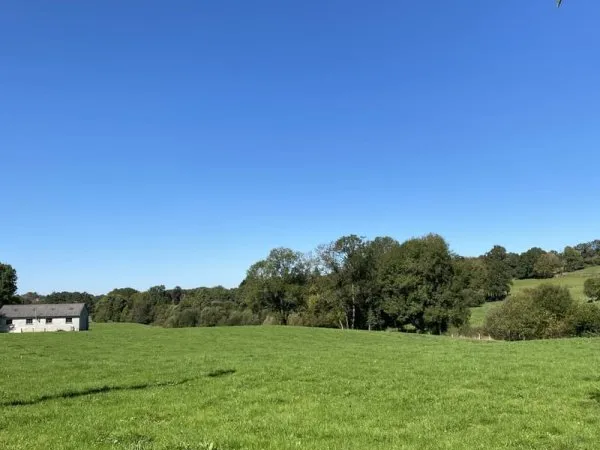 Beau terrain