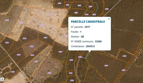 Parcelle forestière