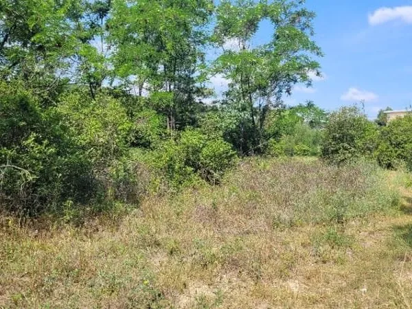 Terrain 603 m²