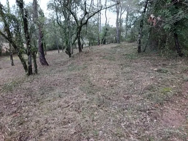 TERRAIN D'EXCEPTION 14 160 m2 A NEOULES !
