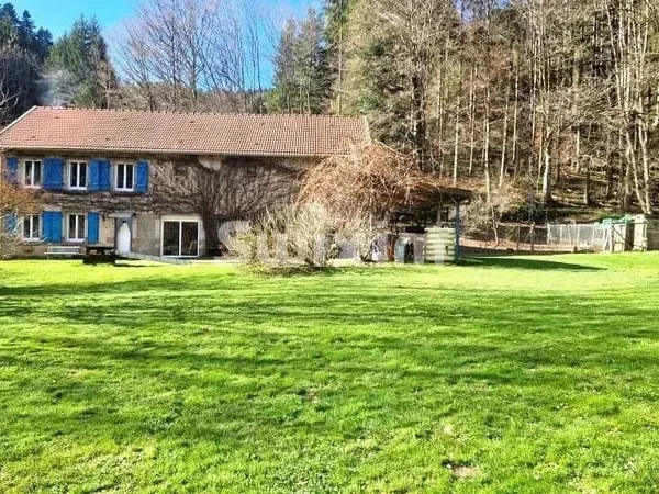 Un havre de paix au coeur de la forêt vosgienne