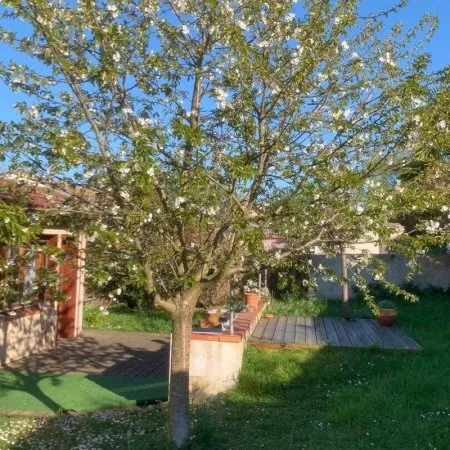 Maison 1 pièce 100 m²
