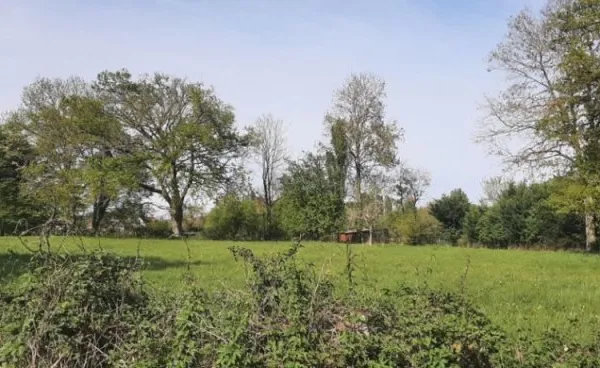 Terrain 334 m²