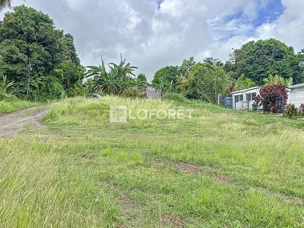 Terrain 666 m²