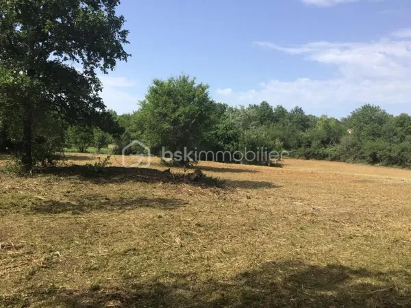 TERRAIN AVEC C.U. 8000m2