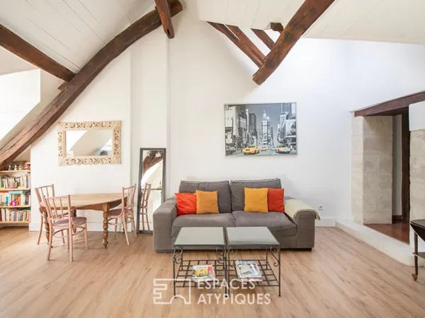 Appartement de charme vue Loire