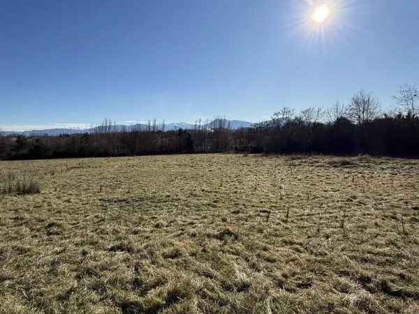 Terrain 2501 m²