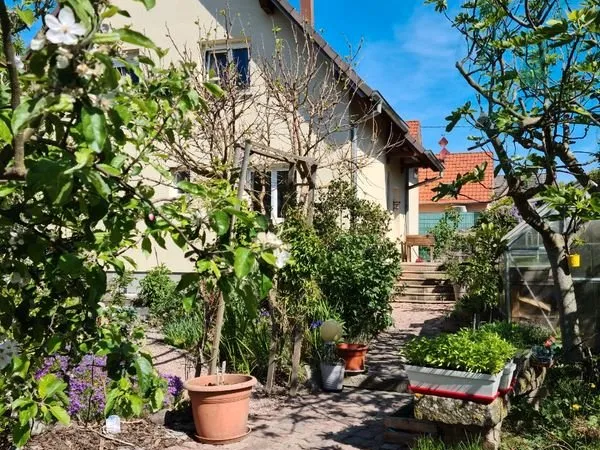 Maison a vendre