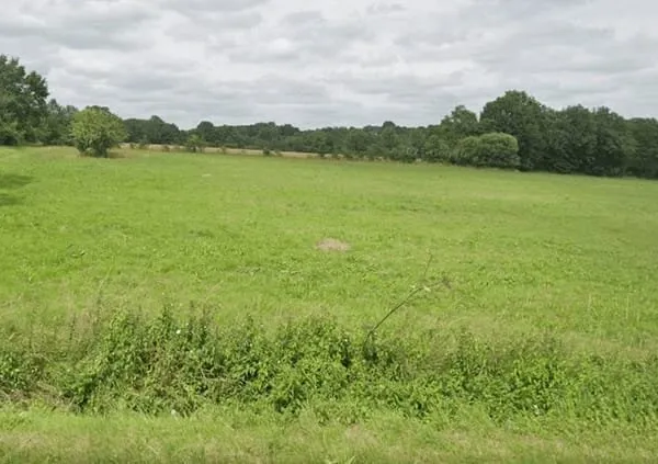 Au coeur de La Paquelais à Vigneux-de-Bretagne